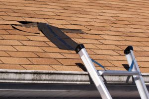 roof shingles and roof leaks