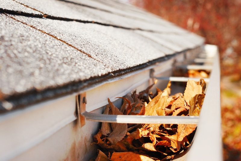 gutters filled with leaves