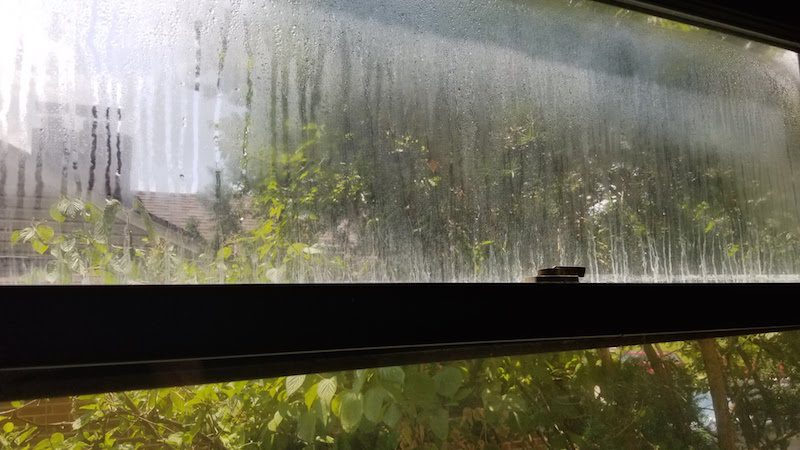 old window needing replacement