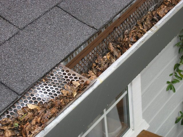 Gutter clogged with leaves